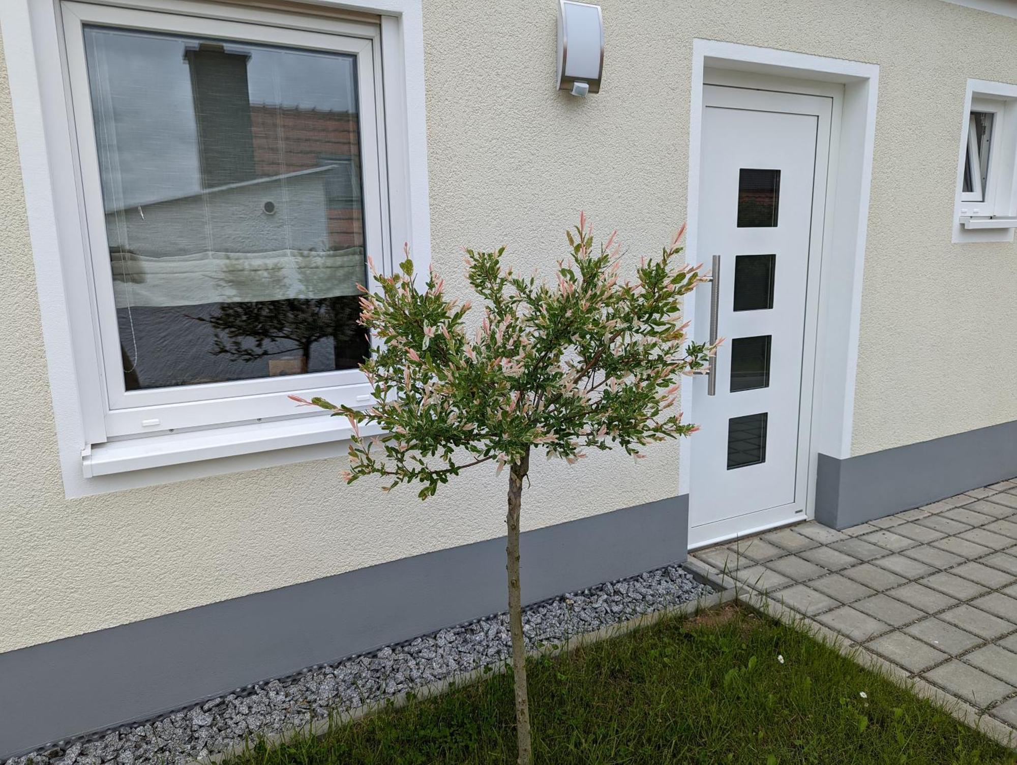 Ferienhaus Zum Kuckuck, Wng 2, Urlaub Im Eichsfeld Kallmerode Dış mekan fotoğraf